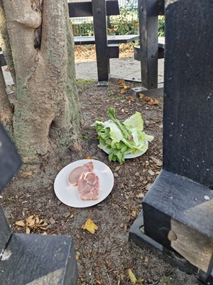 Afbeelding van WhatsApp op 2025-10-07 om 11.18.14_08817c56