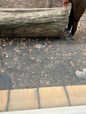 IMG_0781 IMG_0781
