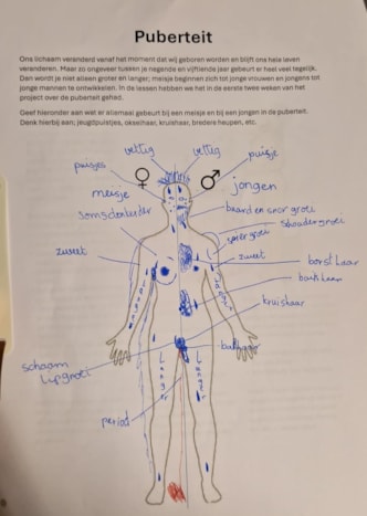 WhatsApp Image 2026-03-10 at 15.02.46