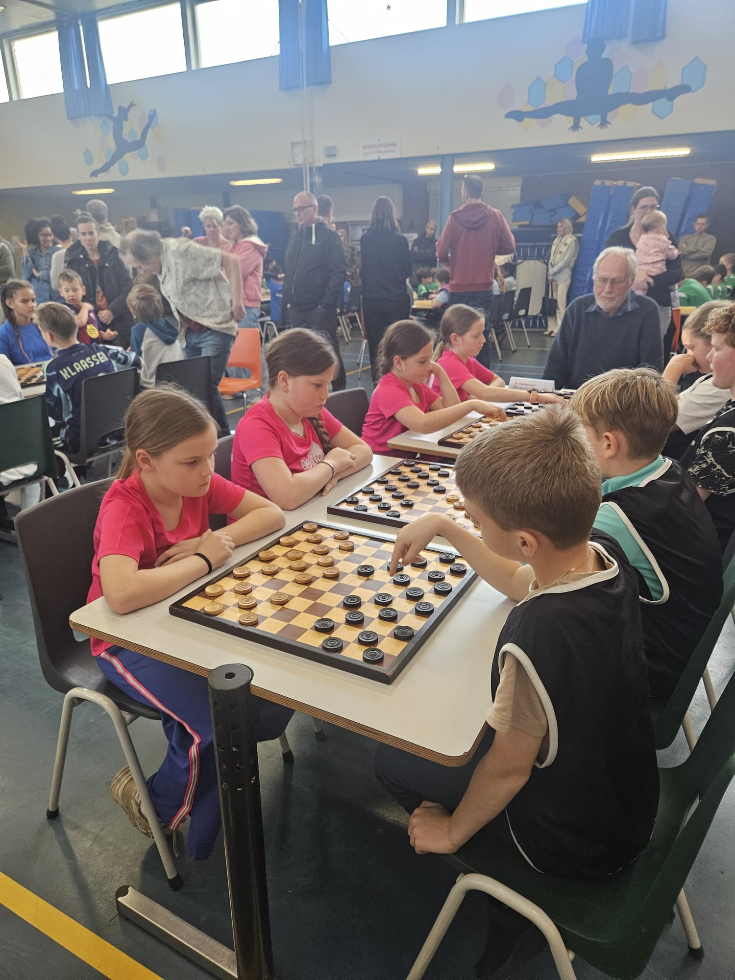 Door naar de halve finale